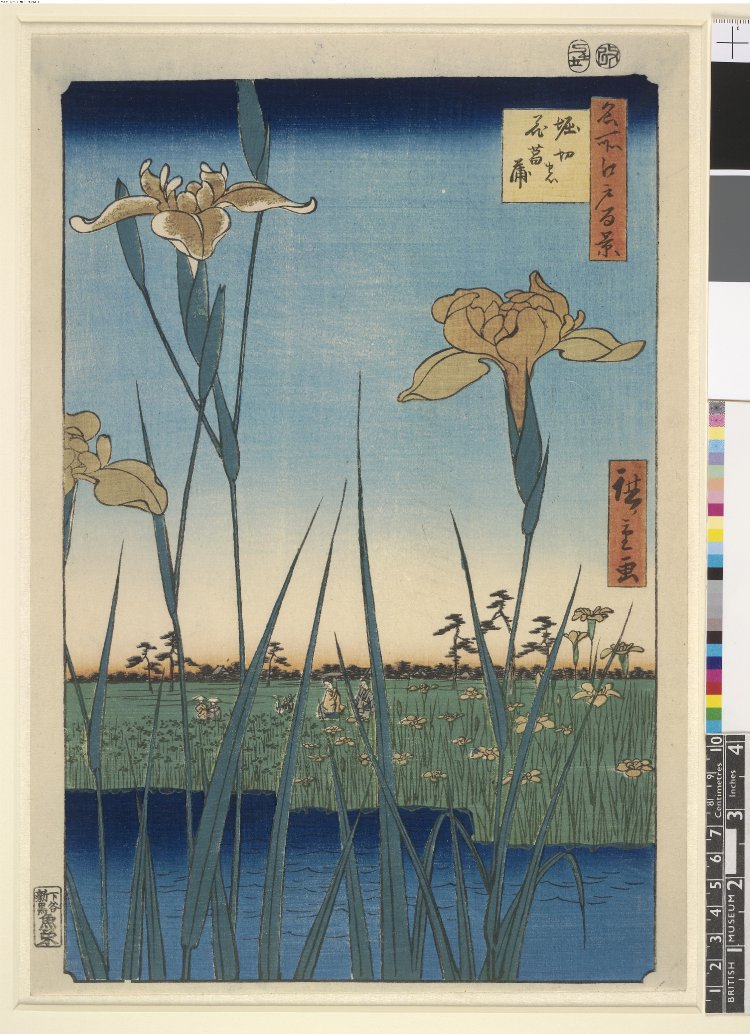 歌川広重: Horikiri no hana-shobu 堀切ノ花菖蒲 (Flowering Irises at Horikiri