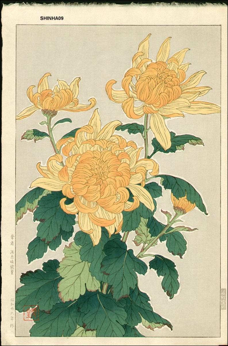 Kawarazaki Shodo: Chrysanthemum 1  Japanese Art Open Database  Ukiyo 