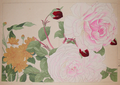 japancoll-p100-attributed-to-soun-rose-and-dahlia-6309大正０６・・谷上広南「ローズ」