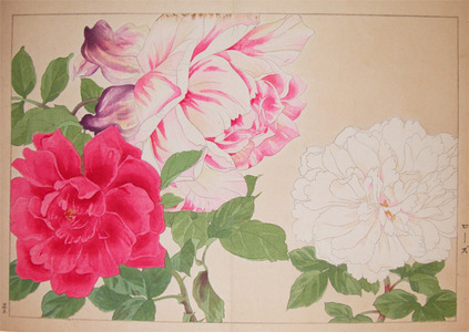 japancoll-p100-attributed-to-soun-rose-and-peony-6308大正０６・・谷上広南「ローズ」