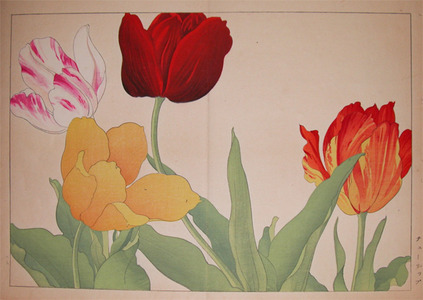 japancoll-p120-attributed-to-soun-tulips-6310大正０６・・谷上広南「チューリップ」