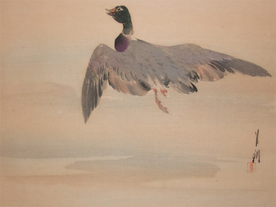 japancoll-p120-gekko-flight-of-a-duck-8553明治３２・03・月耕（「月耕画圃」）（「鴨」）
