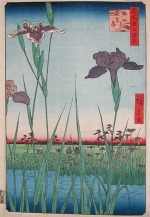 japancoll-p12000-hiroshige-iris-garden-at-horikiri-4419安政０４・05閏広重〈1〉「名所江戸百景」「堀切の花菖蒲」