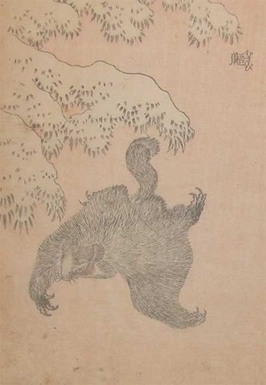 japancoll-p145-hokusai-flying-squirrel-10218・・北斎「鼯」