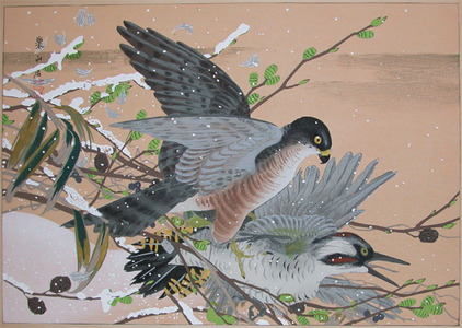 japancoll-p1500-rakuzan-hawk-attacking-a-woodpecker-7751・・土屋楽山
