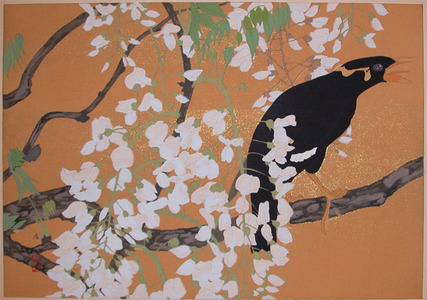 japancoll-p1500-rakuzan-japanese-black-myna-and-wisteria-7738・・土屋楽山
