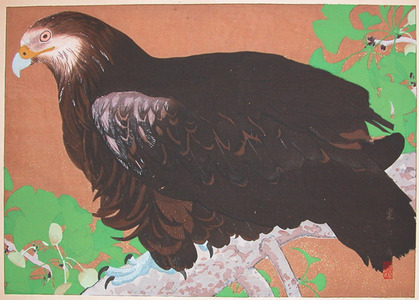 japancoll-p1500-rakuzan-mid-summer:-giant-eagle-on-gingko-tree-7737・・土屋楽山