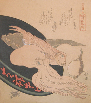 japancoll-p175-hokkei-kanagawa:-octopus-and-other-fish-8195・・北渓「十六番続」「江島記行」「神奈川」