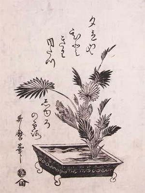 japancoll-p1750-utamaro-palm-bonsai-3534・・歌麿〈1〉