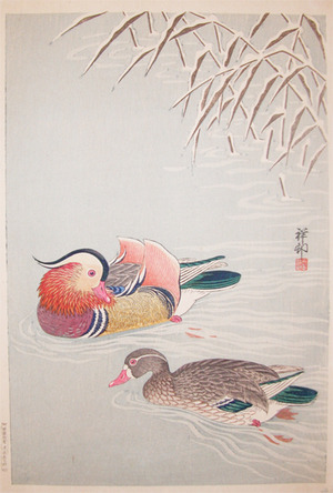 japancoll-p1800-shoson-two-mandarin-ducks-4848・・小原古邨
