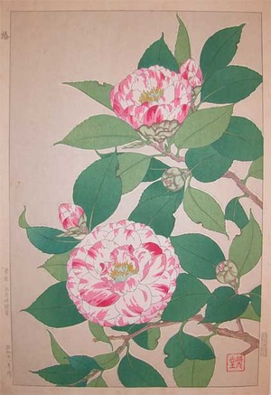 japancoll-p185-shodo-camellia-9142昭和・・河原崎奨堂「椿」