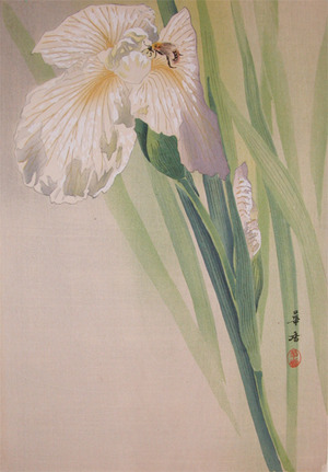 japancoll-p275-kako-iris-and-bee-8537・・森田華香