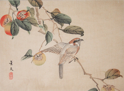 japancoll-p285-keibun-sparrow-on-persimmon-branch-5673明治２５・07・松村景文（原）、福井月斎（模）（「景文花鳥画譜」）（「前篇之十」）（「柿に百舌鳥」）
