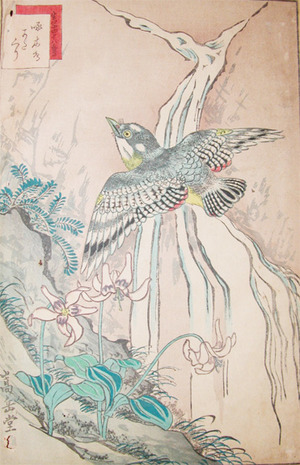 japancoll-p285-sugakudo-kitsutsuki-woodpecker-and-katakuri-5167安政０６・11・ 嵩岳堂（但し田崎草雲の仮託との説あり）「生写四十八鷹」「四十七」「啄木鳥」「かたくり」