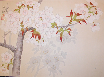 japancoll-p320-watanabe-cherry-blossoms-8373昭和０６・・村上貞雄