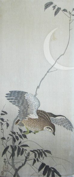 japancoll-p3200-koson-quail-and-crescent-moon-6960明治・小原古邨