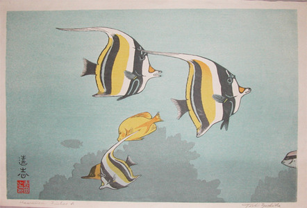 japancoll-p345-yoshida--toshi-hawaiian-fishes-a-5371・吉田遠志「Hawaiian Fishes A」