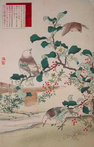 japancoll-p425-bairei-tea-flower-and-birds-10555明治16・12・幸野楳嶺（「楳嶺花鳥画譜」）「冬三」「茶　俗ニ知也、茗、荈、蔎、檟」「鶁　鷦鷯　和名　太久美止里　又　佐々木」　