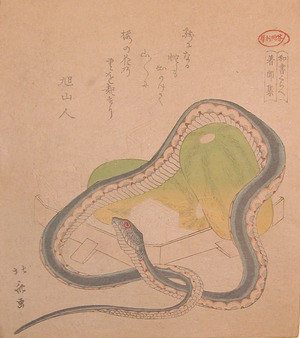 japancoll-p425-hokusai-snake-8169文政・・北斎「☆（のの字）」「芬陀利華」「和書くらへ」「著聞集」