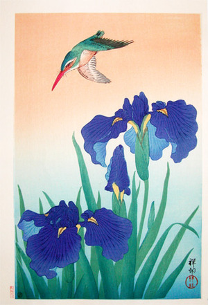 japancoll-p425-shoson-kingfisher-and-iris-561・・小原古邨