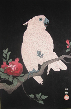 japancoll-p450-shoson-white-parrot-and-pomegranate-1277・・小原古邨