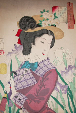 japancoll-p4500-yoshitoshi-enjoying-a-stroll:lady-of-meiji-era-6109明治２１・06・芳年「風俗参十二相」（「風俗三十二相」）「遊歩がしたさう」「明治年間妻君之風俗」