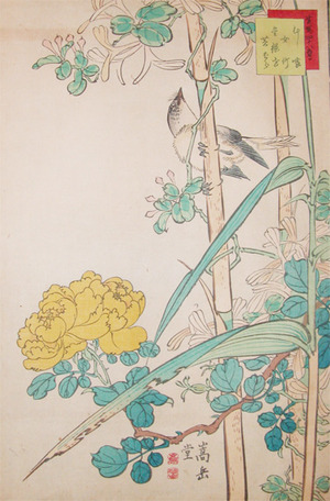 japancoll-p485-sugakudo-mushikui-bird--bamboo-and-rose-5183安政０６・06・ 嵩岳堂（但し田崎草雲の仮託との説あり）「生写四十八鷹」（「十九」）「むし喰」「女竹」「金銀花」「黄ばら」