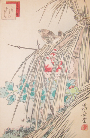 japancoll-p485-sugakudo-sparrow-and-winter-peony-5162安政０６・11・ 嵩岳堂（但し田崎草雲の仮託との説あり）「生写四十八鷹」（「四十二」）「みそさゞゐ」「冬ぼたん」