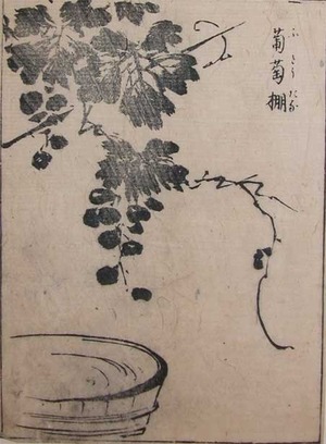 japancoll-p50-hogan-grape-vine-and-water-basin-9137・・未詳「葡萄棚」