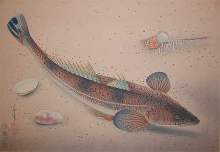 japancoll-p500-bakufu-kochi-fish-9967昭和１４・大野麦風