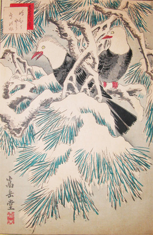 japancoll-p525-sugakudo-shima-hiyodori-and-snow-covered-pine-5164安政０６・11・ 嵩岳堂（但し田崎草雲の仮託との説あり）「生写四十八鷹」（「四十三」）「島ひよどり」「雪の松」