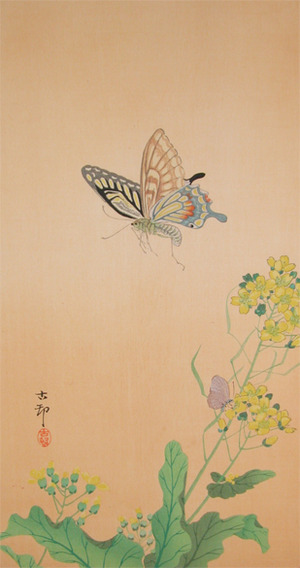 japancoll-p550-koson-butterflies-and-nanohana-8564明治・・小原古邨