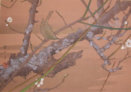 japancoll-p775-rakuzan-early-spring:-wild-plum-and-japanese-bush-warbler-7746・・土屋楽山