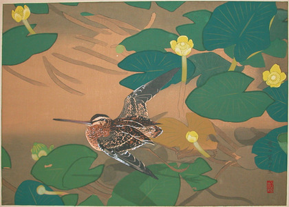 japancoll-p775-rakuzan-early-summer:-water-lilies-and-snipe-7734・・土屋楽山