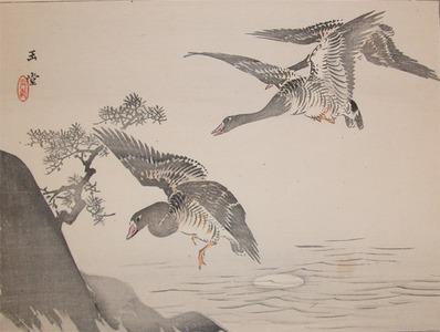 japancoll-p80-gyokudo-geese-and-moon-8551明治２６・11・川合玉堂（「月下来鴻之図」）