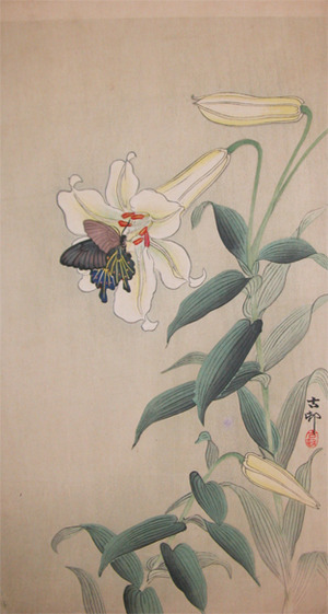 japancoll-p825-koson-butterfly-on-large-light-yellow-lilly-6931明治・・小原古邨