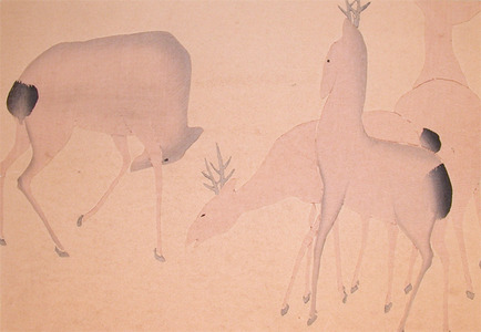 japancoll-p85--deer-8076享和０２・・尾形光琳（原）、中村芳中（模）
