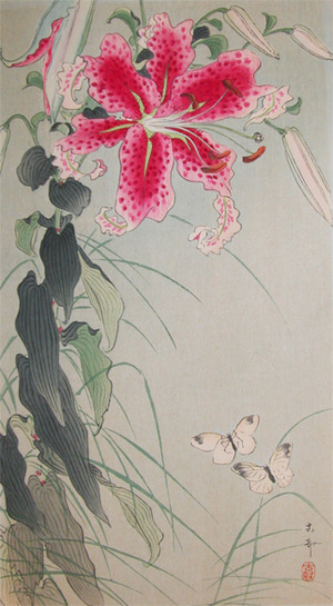japancoll-p875-koson-butterflies-and-large-pink-lilly-6938・小原古邨
