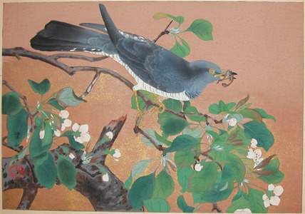 japancoll-p875-rakuzan-late-spring:-flowers-of-mountain-pear-and-cuckoo-7757・・土屋楽山