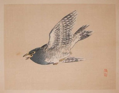 japancoll-p90-bairei-flying-cuckoo-9131明治３６・・幸野楳嶺