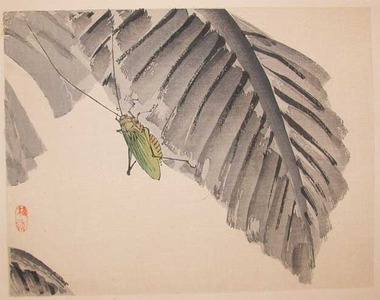 japancoll-p90-bairei-katydid-on-banana-leaf-8867明治３６・・幸野楳嶺