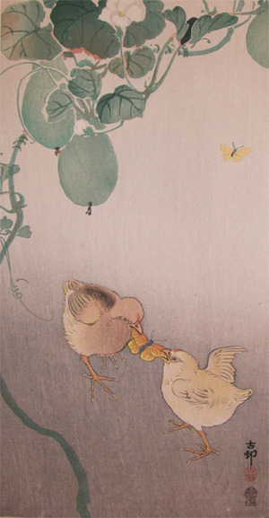 japancoll-p975-koson-two-chicks-and-butterfly-6922明治・・小原古邨