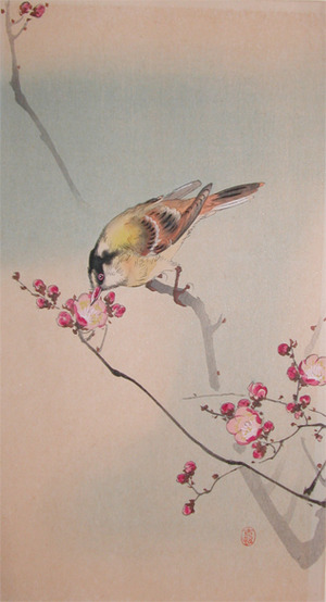 japancoll-p985-koson-small-bird-and-blossoms-6919・小原古邨