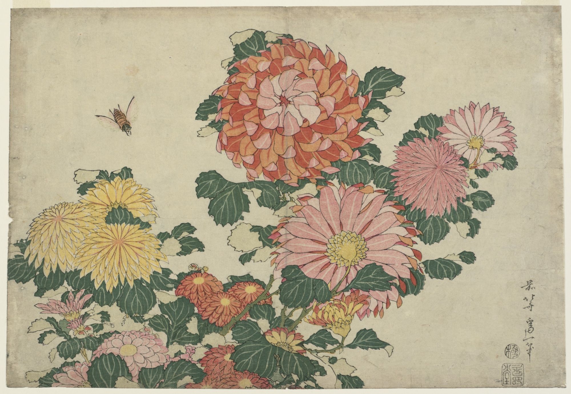 Katsushika Hokusai: Chrysanthemums and Horsefly, from an untitled 