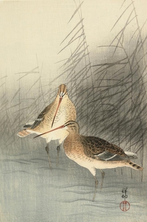 Ohara Koson: Birds and Reeds - Art Gallery of Greater Victoria