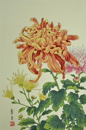 Nishimura Hodo : Chrysanthemum - Art Gallery of Greater Victoria