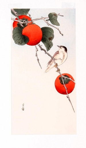 Yoshimoto Gesso: Bird and Persimmons - Art Gallery of Greater Victoria