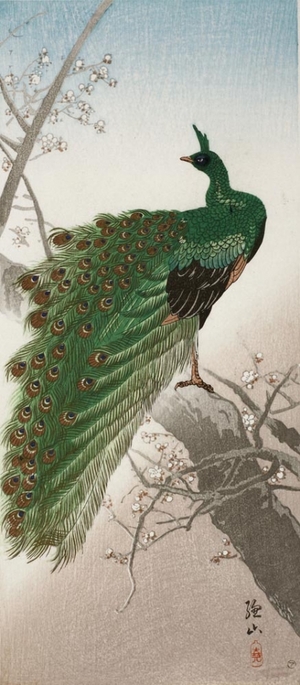 Ito Sozan: Peacock - Art Gallery of Greater Victoria