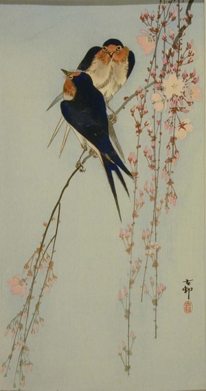 小原古邨: Swallows and Hanging Cherry Blossoms - Art Gallery of Greater Victoria