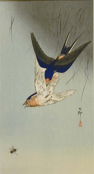 小原古邨: Swallows and Bee - Art Gallery of Greater Victoria